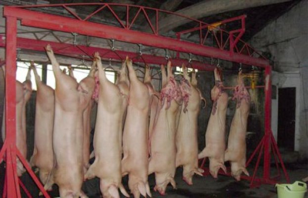 Producţia de carne a României a crescut